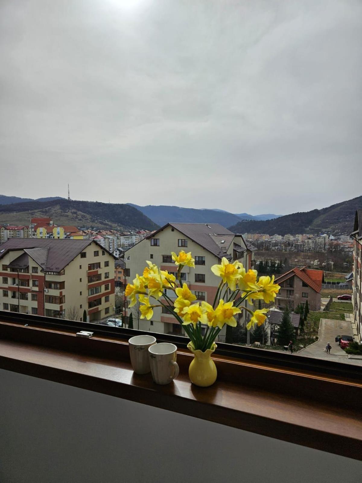 Tei Residence Piatra Neamţ Exteriör bild